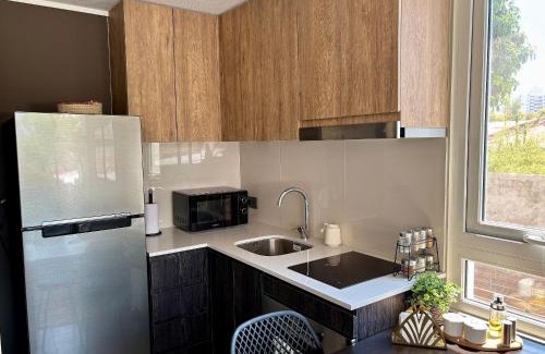 Nunoa Apartment | Encantador e Iluminado Departamento, Ñuñoa