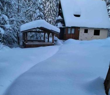 Tatranska Strba Ski Chalet | Enchanted Forest Chalet