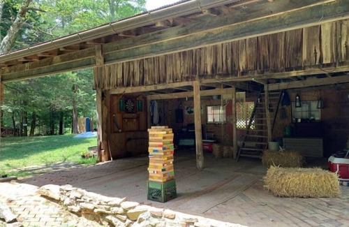 Monticello House | Enchanting Glamping Tent on Lake Cumberland