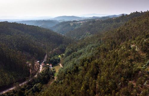 Penacova House | Encosta da serra do Bussaco Quintinha da Azenha