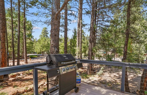 Munds Park Ski Chalet | Engaging Mountain Chalet with Large Deck and A/C!