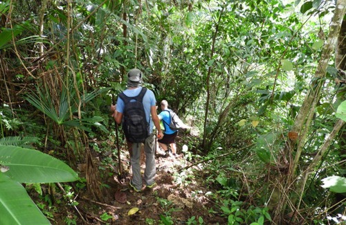 Savegre Cabin | Enjoy a cabin and waterfall in Barú, Costa Rica.