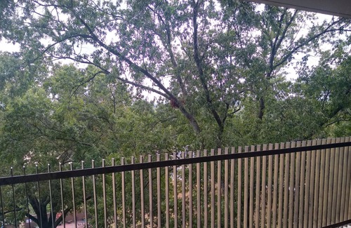 North Little Rock Apartment | ENJOY BALCONY VIEWS OF DOWNTOWN LITTLE ROCK 705