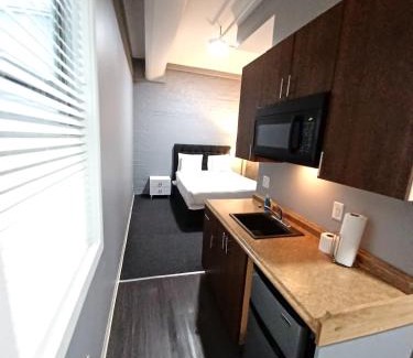 Downtown Boston Apartment | Enjoy Spring Time In Boston 406