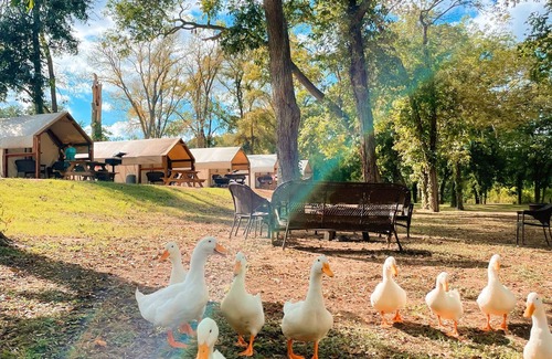 Prairie Lea Cabin | Enjoy the beautiful San Marcos River in this new, nice and comfy cabin!