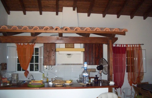 Grandola Other | Enjoy the beauty of the Alentejo. House set in pine forest and near the beautiful beaches