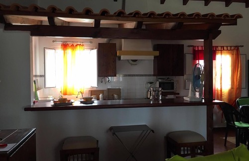 Grandola Other | Enjoy the beauty of the Alentejo. House set in pine forest and near the beautiful beaches