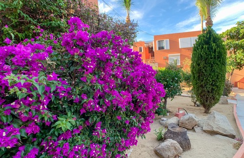 Cabo Bello Condo | Enjoy the Ocean View and take a stroll on the Stunning Private Beach