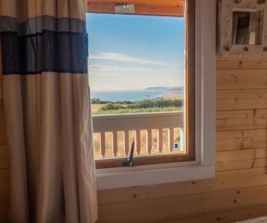 Borth Apartment | Enlli Fach cabin sleep's 2 adults and 2 children 2 dogs welcome not suitable for contract workers due to parking height restrictions