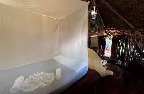 Corn Island Other | Ensueños Natural Suites