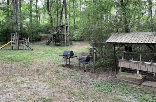 Central Apartment | Entire 2 bed 1 bath apt in Johnson City