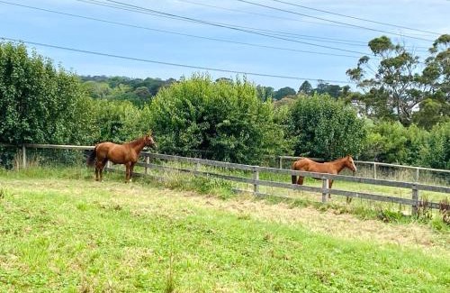 Bowral House | Entire Bowral Acreage