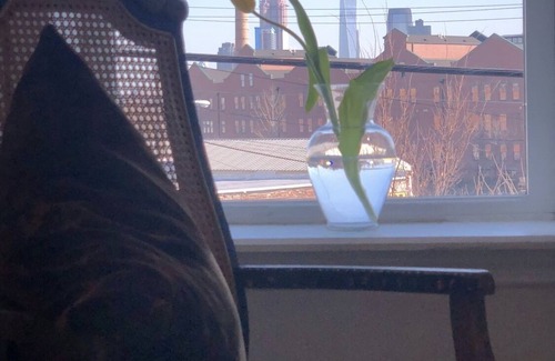 Communipaw House | Entire Brownstone Duplex 3 BR/2 Bath 15 minutes to NYC