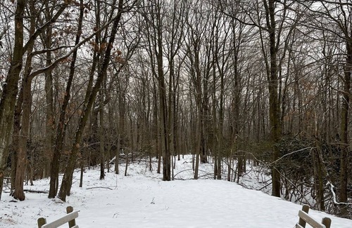 Long Pond Ski Chalet | Entire Cozy Pocono Chalet with fireplace, Firepit BBQ and games