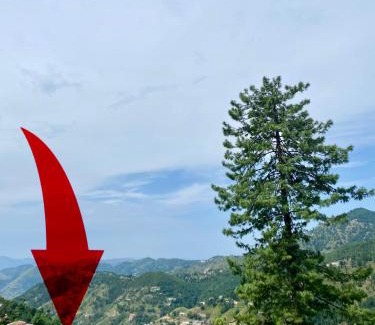 Dhirkot House | Entire Holiday Home in Galiyat with Valley Views