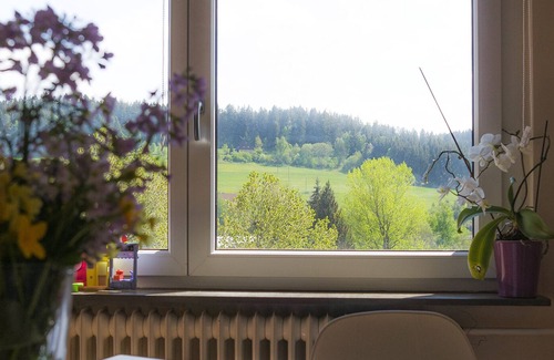 Unterkirnach House | Entire house in BlackForest with mountain view,private Gym,Sauna,Garden,Terraces