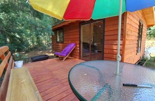 Lago Ranco Apartment | Entre Aromos