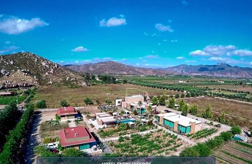Valle de Guadalupe Hotel | Entre Viñedos by Hotel Boutique Valle de Guadalupe