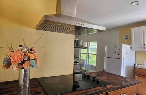 Branford House | Enzo's Retreat. 6 minutes to Ichetucknee Springs! Family friendly