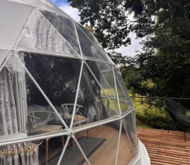 Quebrada Grande Other | Epífita, Bosque Nuboso Glamping Monteverde