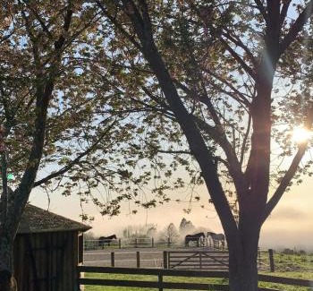 Rotorua District House | Equestrian Farm Stay