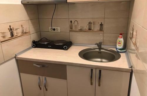 Baile Herculane Apartment | Eric one
