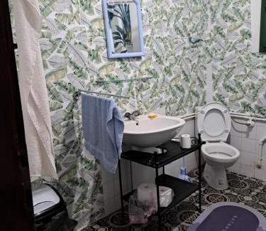 Mladenovac Apartment | Erika house