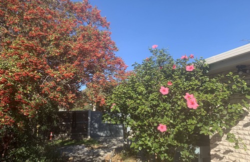 Sorrento House | Erland Beach House, Sorrento
