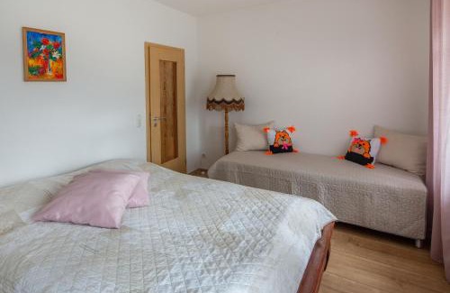 Sehma House | Erzgebirge Apartments Sehmatal