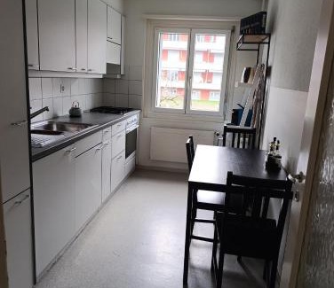 Birsfelden Apartment | ESC Basel