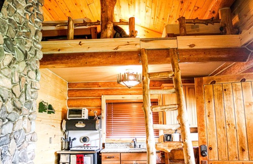 Pagosa Springs Cabin | Escape the Crowds and Enjoy your own Private View- Moose cabin