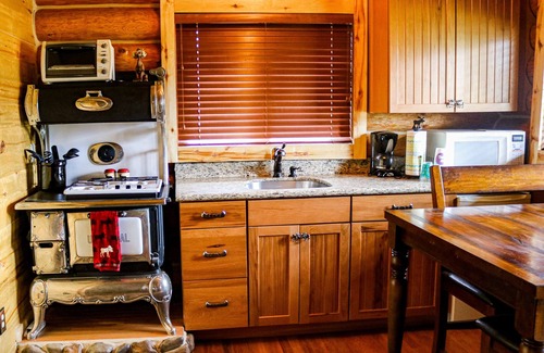 Pagosa Springs Cabin | Escape the Crowds and Enjoy your own Private View- Moose cabin