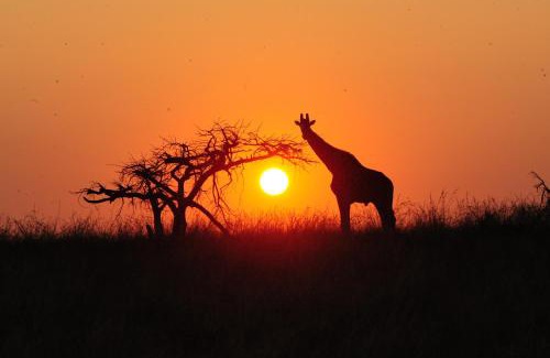 Ladysmith Cabin | Esiweni Luxury Safari Lodge
