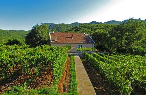 Rijecani House | Estate & Winery San Duyevo
