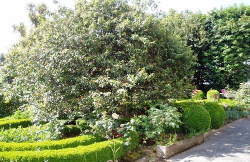 Casteloes de Cepeda Bed & Breakfast | Estrebuela House