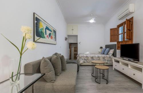 San Vicente Apartment | Estudio calle baños