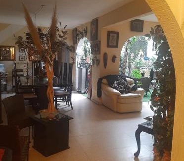 Roma Sur House | Estudio en Col Roma sur