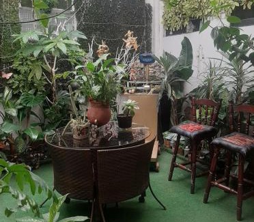 Roma Sur House | Estudio en Col Roma sur