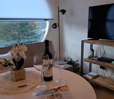 Province of Tierra del Fuego Apartment | Estudio Suite