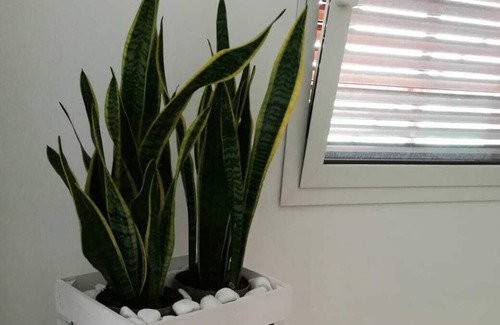 Santa Lucia Apartment | "ETNA" ROOM in SOUTH LIGHT with private bathroom and balcony with view