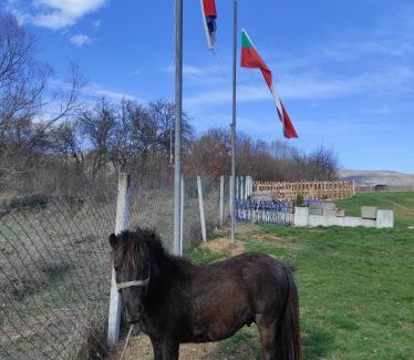 Dimitrovgrad House | Etno Deša Apartmani