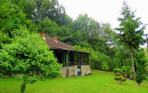 Central Serbia House | Etno-kuća "Leka" Klisura