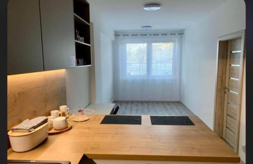 Sidlisko KVP Apartment | Euphoria/luxurious accomodation