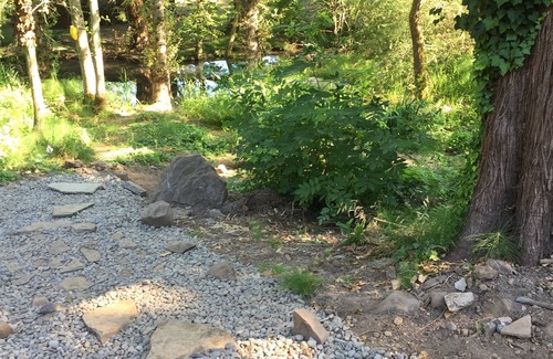 Milwaukie House | Even your dog feels Oregonian at Rosie Ranch!