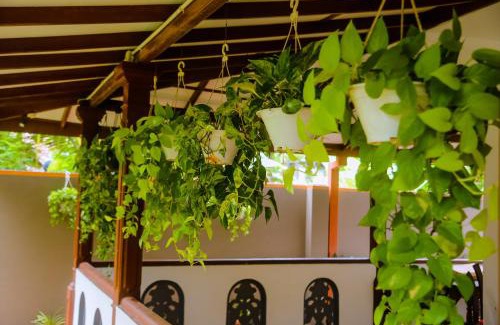 Mirissa Apartment | Evergreen Cottage