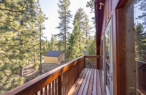 Meadow View Heights Cabin | Evergreen Escapes Cabin surrounded by Dixie National Forest