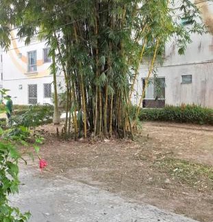 Ananindeua Apartment | Excelente Apto com 2 quartos para COP 30