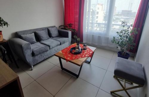 Downtown Santiago Apartment | Excelente departamento en Santiago