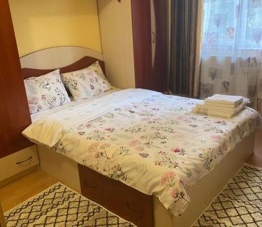 Baia Mare Apartment | Exclusive HORTENSIEI