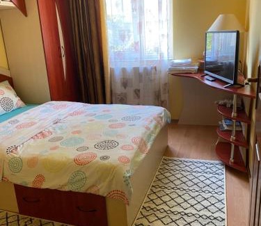 Baia Mare Apartment | Exclusive HORTENSIEI